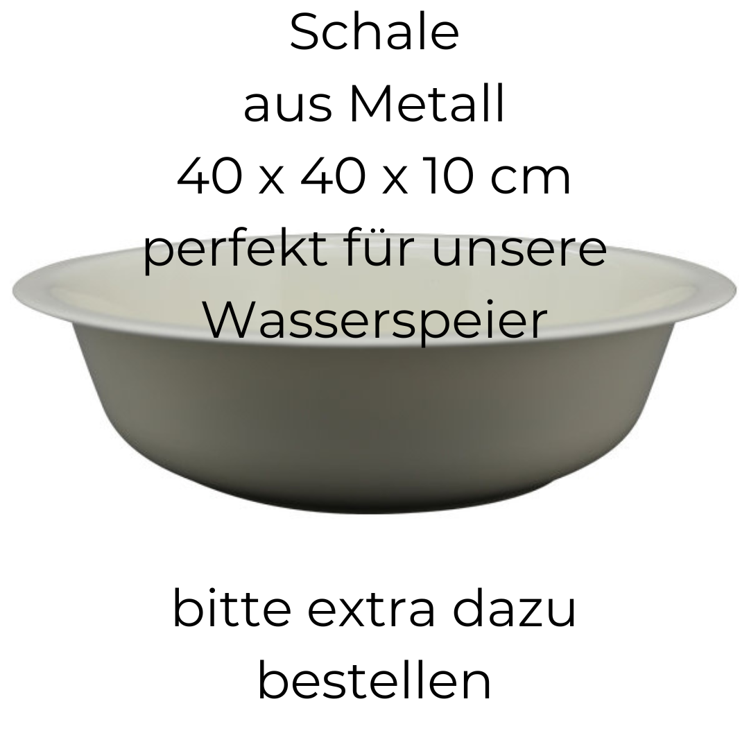 Wasserspeier Fisch mit Pumpe – dekorativer Gartenbrunnen für Teich & Schale