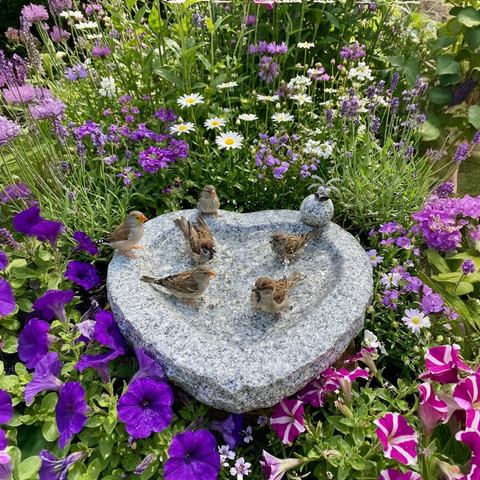 Vogelbad Granit Herz ca. 34 cm mit Steinvogel – frostfest & handgefertigt
