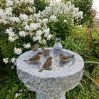 Vogelbad Granit rund ca. 34 cm mit 1 Steinvogel Granit und Edelstahl