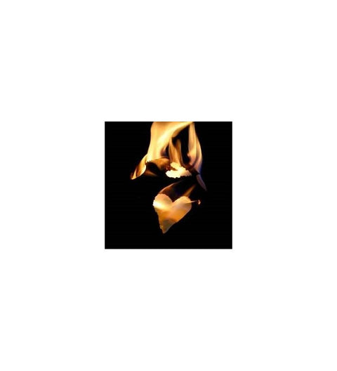 Feuerkugel ⌀ 18 cm aus Edelstahl zur Wahl 4 verschiedene Motive