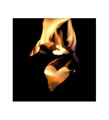 Feuerkugel ⌀ 18 cm aus Edelstahl zur Wahl 4 verschiedene Motive